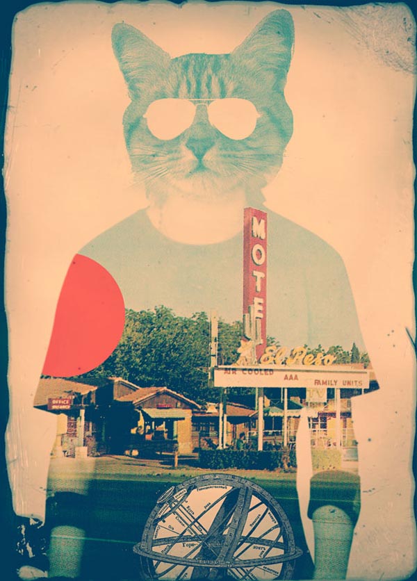 The Cat - Digital Art by Ali Gulec
