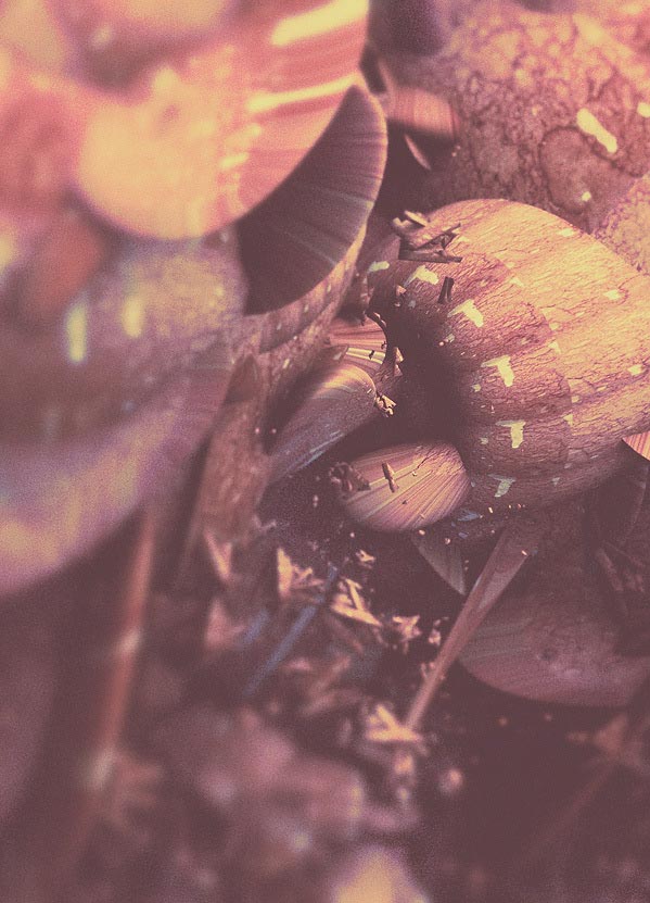 Metamorphosen - Abstract Digital Illustration by Atelier Olschinsky