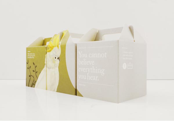 The Rabbit and the Monday Misfits - Illustration and Packaging Project