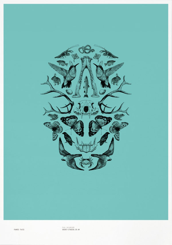 Graphic Design by Socket Studios