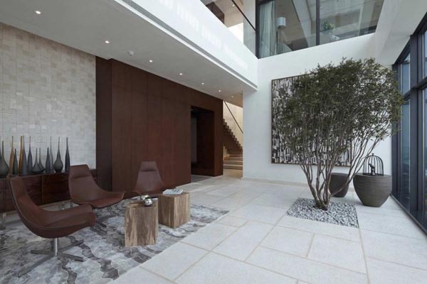 Inside the House of the Tree by Kokaistudios