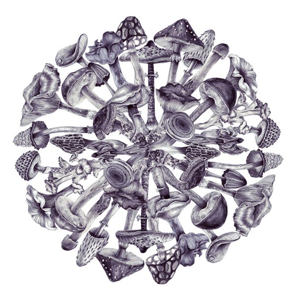 Mushroom Explosion Drawing by Eika Mushroom Explosion Drawing by Eika