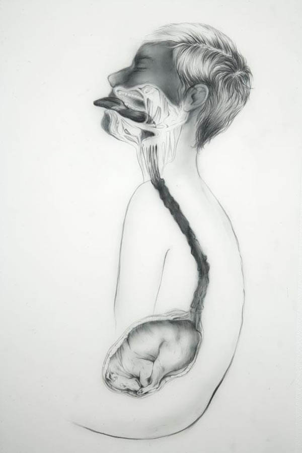 Pregnant Pause - Pathetic Fallacy Drawing by Anthony Goicolea