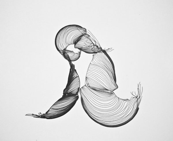 S - Overseas Type by Tania Alvarez
