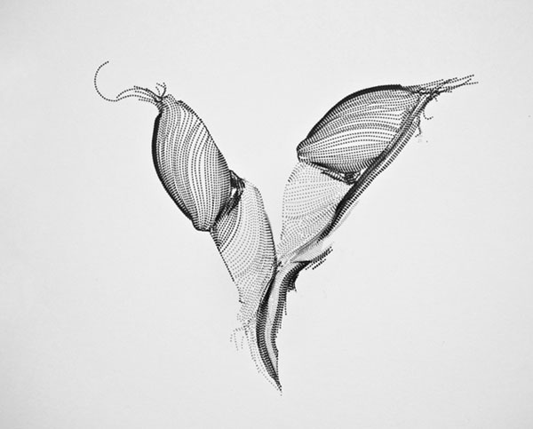 V - Overseas Type by Tania Alvarez