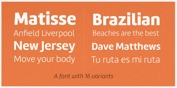 Amelia - A font with 16 variants