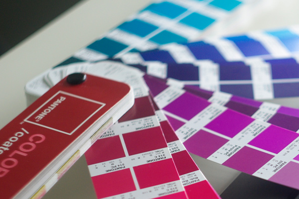 Systems Thinking - Logo Color Scheme