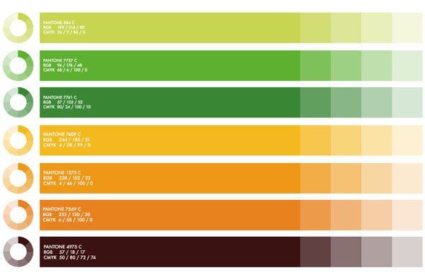 Clementine Things - Corporate Colors