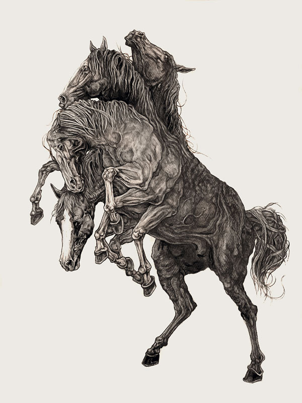 Sleipnir - graphite on paper by AJ Frena