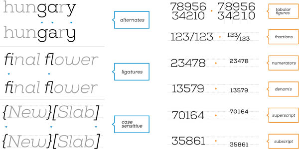 The family includes numerous OpenType features such as alternates, ligatures, case sensitive characters, tabular figures, fractions, numerators, superscript, subscript, etc.