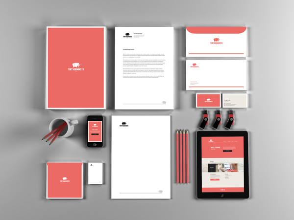 Tiny Mammoth - Design Studio Brand Identity