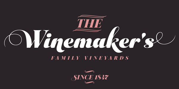 Aparoitalic roman typeface by DSType Foundry