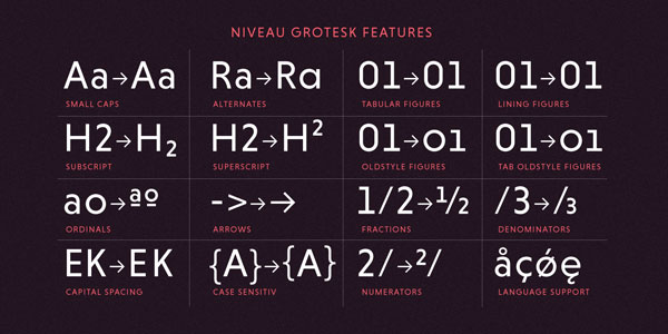 Niveau Grotesk Features