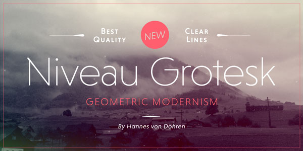 Niveau Grotesk Font Family by HVD Fonts