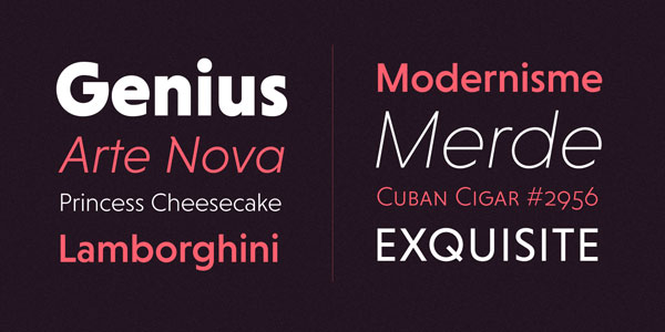Niveau Grotesk - Weights