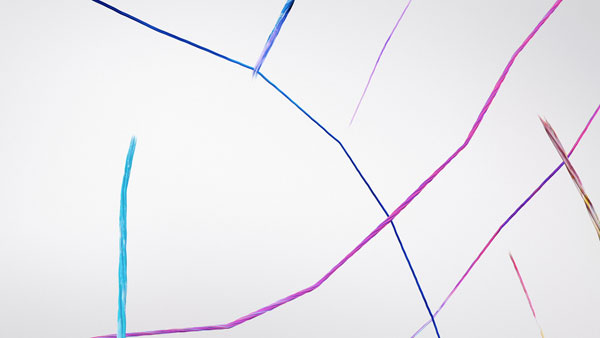 Vilcek Foundation - Cinematic Ident
