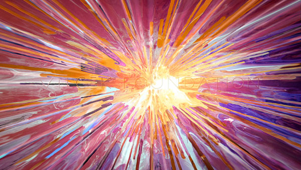 Vilcek Foundation - Cinematic Ident