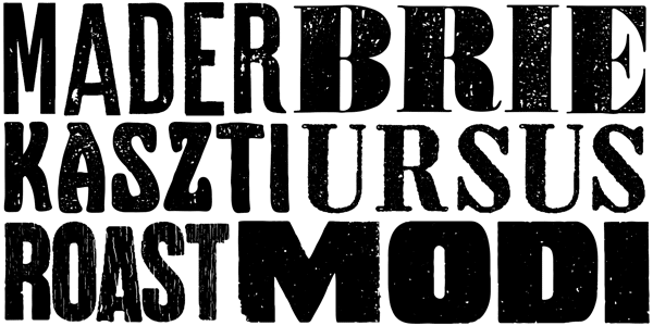 Wood Type Collection 2 - Grungy Display fonts by Borutta