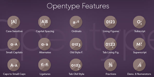 The huge set of OpenType features leaves no wish unfulfilled.