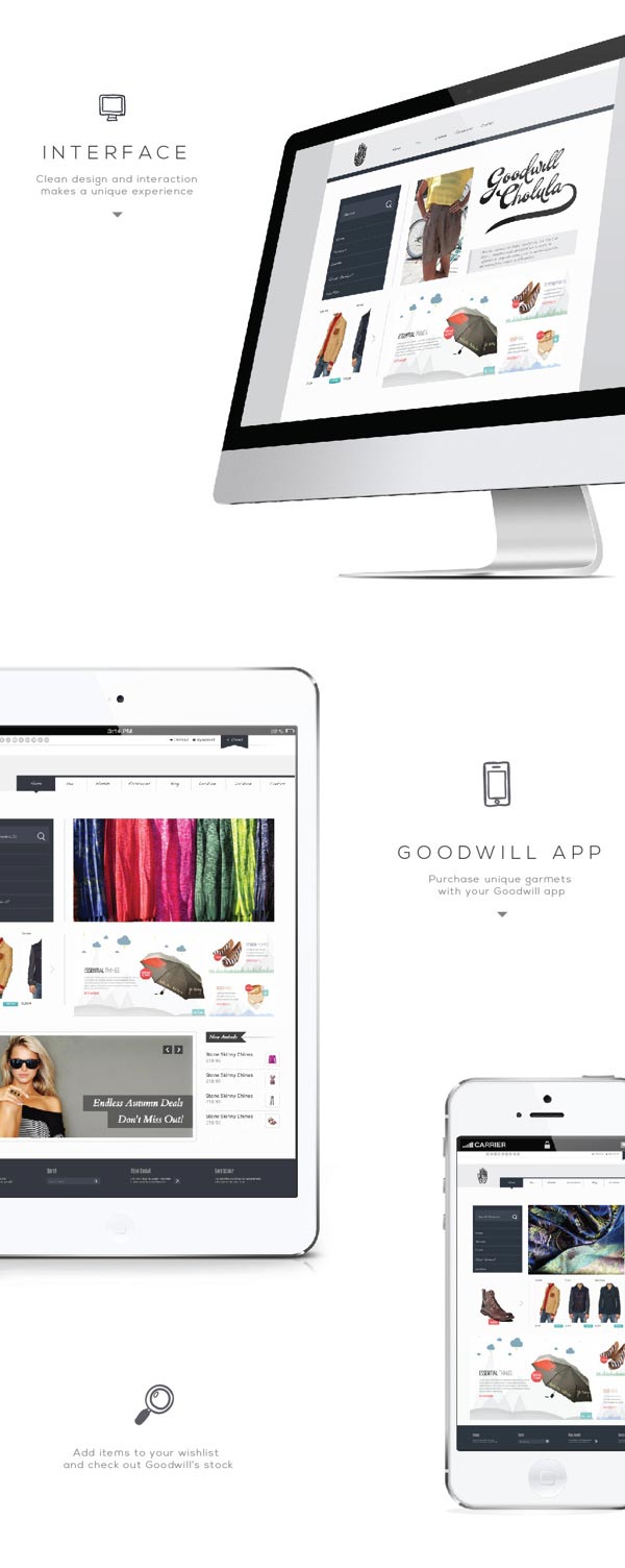 Goodwill Web Design by Diego Leyva