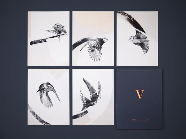 Motion Collector's Edition Box Set by Von