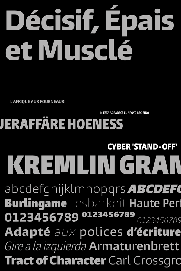 Burlingame font family from Monotype Burlingame font family from Monotype