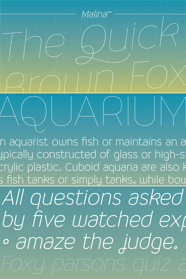 Malina sans-serif monoline typeface