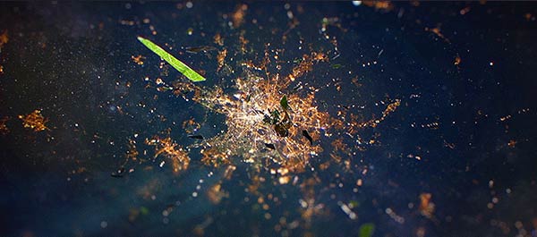 Max Cooper - Supine - Music video directed by Tom Geraedts