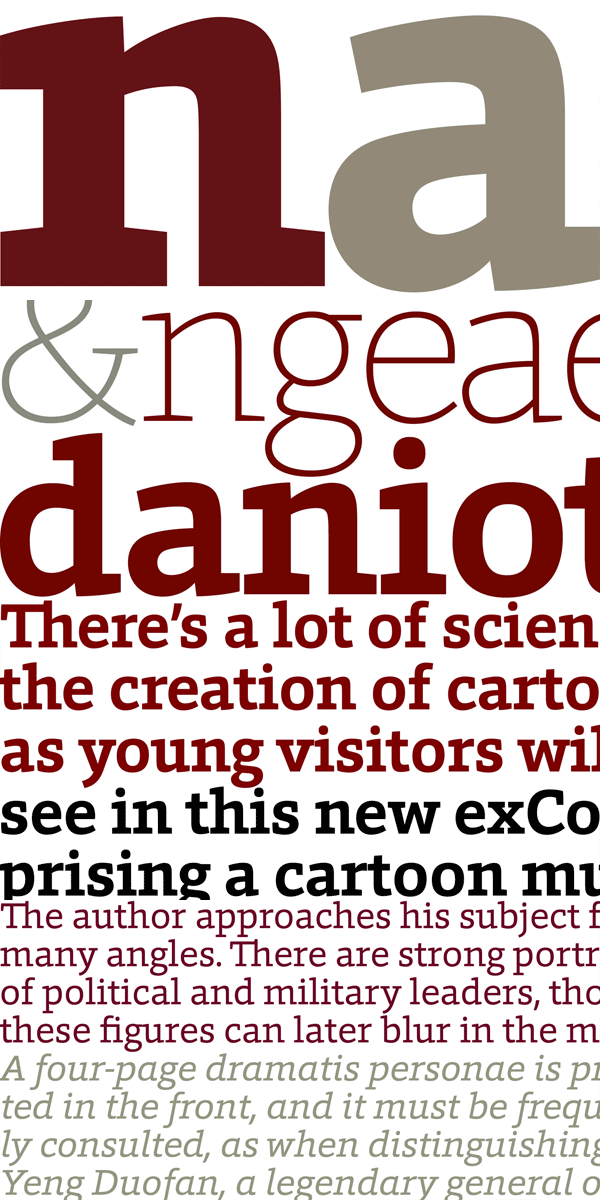 Foro, a strong slab serif font family by Hoftype