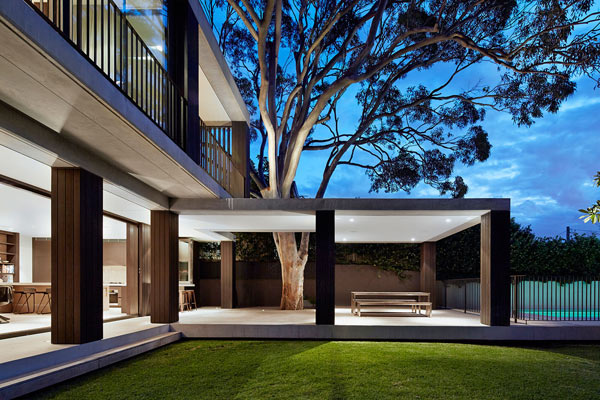 View of the outdoor spaces with the integrated tree.