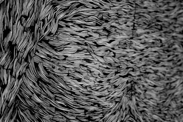 Detailed black and white structures. Detailed black and white structures.