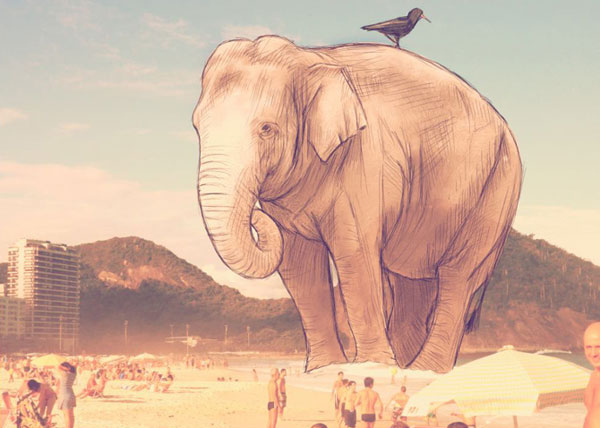 Elephant on the beach.