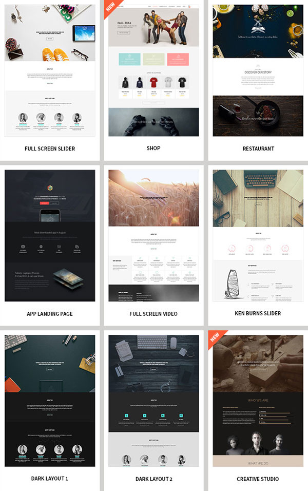 Shore, a creative WordPress theme for multi-purpose.