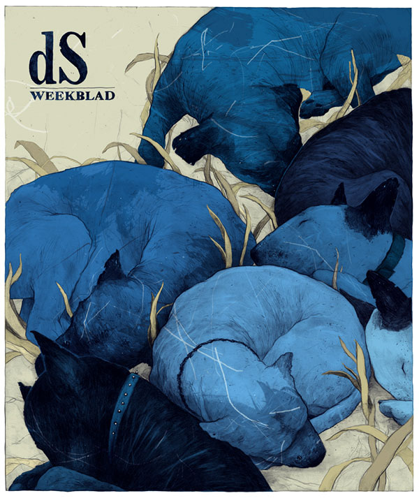 De Standaard - Cover artwork for DS weekblad about reconciliation. De Standaard - Cover artwork for DS weekblad about reconciliation.