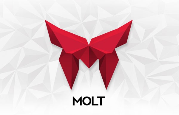 Final version of the logo design by Bruno do Nascimento. Final version of the logo design by Bruno do Nascimento.