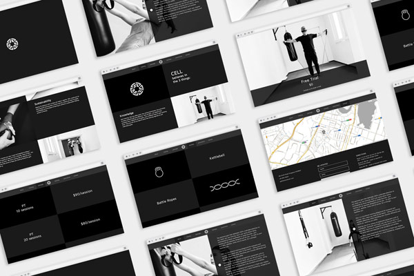 Several pages of the website.