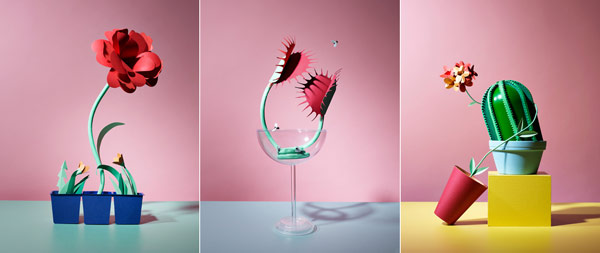 Love Life of Plants - personal work by Hattie Newman. Love Life of Plants - personal work by Hattie Newman.