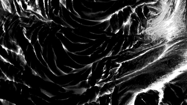 Surreal structures of black and white.