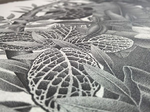 Close up of the drawing.