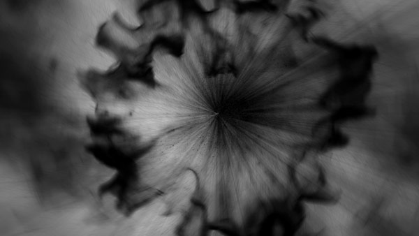 Well animated strange shapes and mysterious objects.