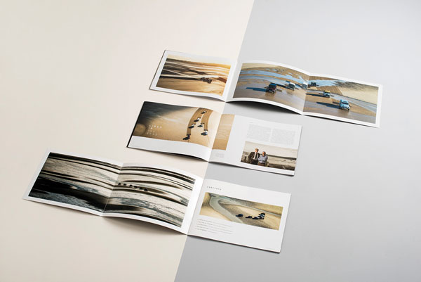 Some insights into the brochure.