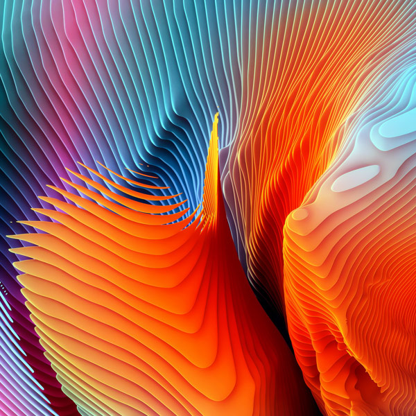 A beautiful mix of shapes and colors.