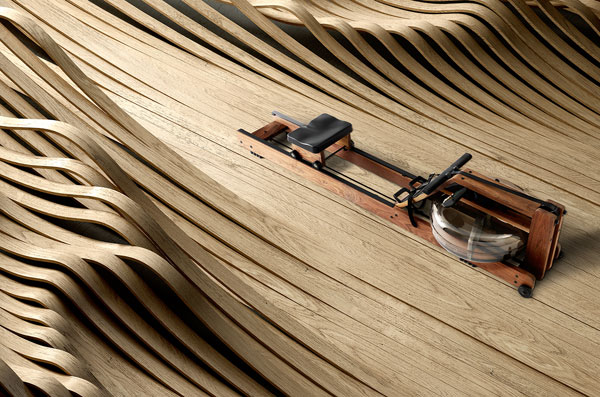 Rowing Machine by John Duke - Work from a series of 10 luxury items. Rowing Machine by John Duke - Work from a series of 10 luxury items.