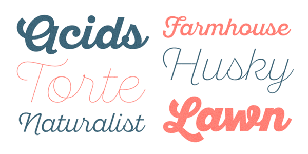 Sant’Elia Script fonts.
