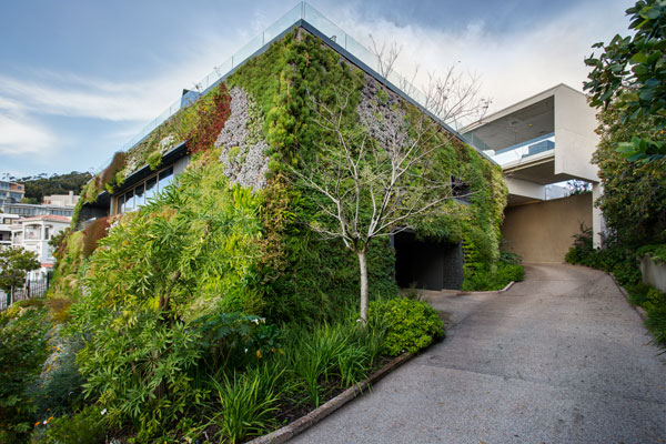 The walls at the back, where you will also find the entrance, are fully overgrown.