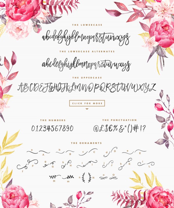 A summary including lowercases, lowercase alternates, uppercases, numbers, punctuation, and the set of ornaments.