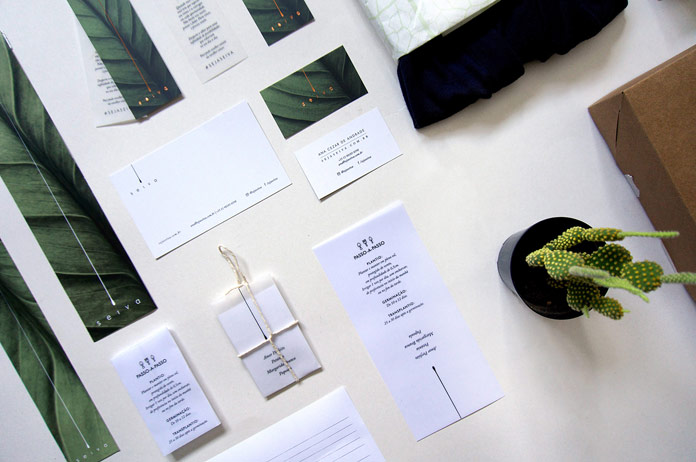 Brand identity deveopment by Vinicius Hideki for Seiva.