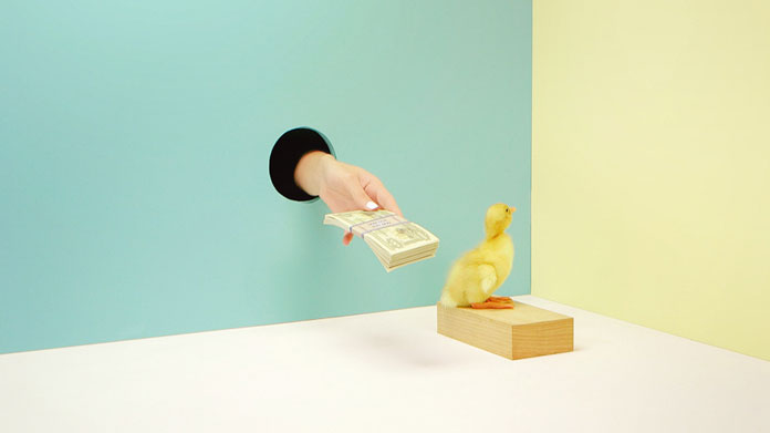 Pagar el pato. Literal: To pay the duck. Analogue: To carry the can.