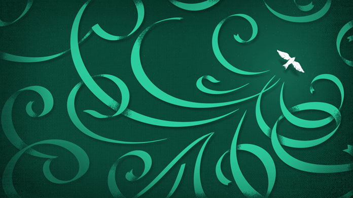 Using the Calligraphic Brush tool in Illustrator.