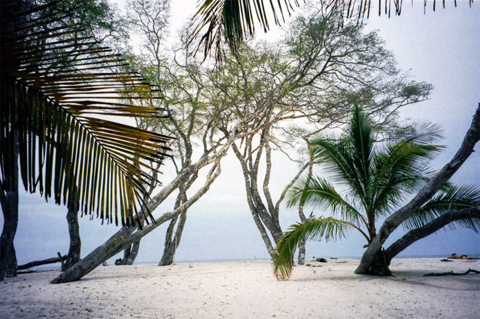 What a dreamlike beach.